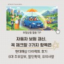 하이카서비스방어점 | 자동차 보험 갱신, 꼭 체크할 3가지 항목은 (현대해상 다이렉트 후기, 주요 담보, 할인 특약, 유의사항)