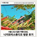 호매실벚꽃음식문화거리 | 서울 근교에서 즐기는 일본 여행 감성, 경기도 동두천 니지모리스튜디오 방문 후기