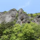 신미주(아) 이미지