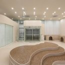 글로리퍼피 이미지