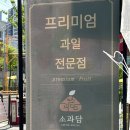 소과담 | 웨딩 : 소과담 | 결혼 인사 선물 | 과일바구니 (내돈내산 두 번 구매 후기 🍈🍇🍊)