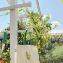 진로농장 이미지