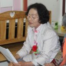 고촌어린이집 Daum카페