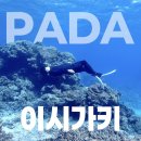 투어인 - 강남구 테헤란로53길 23 | 이시가키 <PADA 이리오모테 종일투어> 프리다이빙 후기