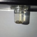 돈먹고 돈주기 이미지