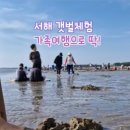 청포대숲속야영장 이미지