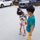 설리리조트 펜션 A동 이미지