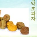 약초베이커리&카페