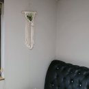 행복한153 이미지