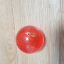 경산파크골프 이미지