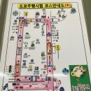 새결요양병원 | 동양자동차운전면허학원 / 2종 보통 후기 (도로주행연수/시험/실격/합격)