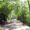 만인산자연휴양림 이미지