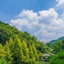 종로-종로-종로-종-165 이미지