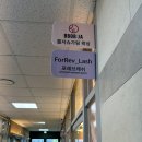 아리테타워 | 은계속눈썹펌 포레브래쉬, 기본수분펌 후기