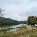 파주발랑캠핑타운 이미지