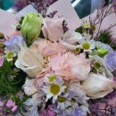 양지2호 이미지