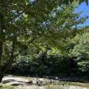 GS25 울산작천정점 | 부산근교 계곡추천, 아이들물놀이 하기 좋은 울산 언양 작천정계곡