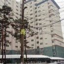 관악대로360번길 Daum카페