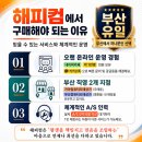 해피세미