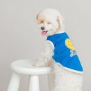 스마일독 이미지