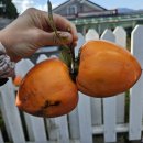 덕산가든 이미지