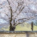 축제공인중개사사무소 이미지