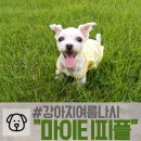 마이티피플 네이버블로그