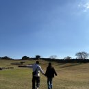 운전교차로목장 | 가을과 겨울 사이 제주도 후기 끄적이기