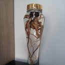 권가네추어탕 이미지