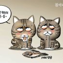 만평연합의원 네이버블로그