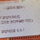 하누까까 | 1인 한정 도쿄 가이드