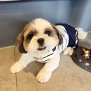 함께오래 동물병원 이미지