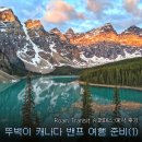 멍슈퍼 | 밴프 여행 준비(1), 모레인 호수 뚜벅이 가는 법 3가지 전격비교 - Roam Transit 슈퍼패스 예약 후기