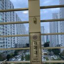 이상사이언스