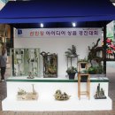 라페스타 문화의 거리 이미지