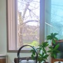 축지리 470 이미지