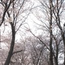 강남중학교 이미지