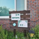 생활명리 | "보미 정통사주명리. 타로"자식 장래 고민, 엄마의 마음을 풀어본 구미 타로 후기