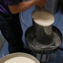 신갈수지 이미지