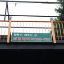 행복이 머무는 강