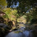 두메산골펜션 이미지