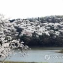 호암프라자 이미지