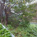 봉성저수지 둘레길 이미지