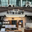 단양 여행 | 단양 구경시장 맛집 흑마늘 소금빵 빵지순례 후기