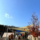 하니매점 | 서울 도봉 캠프닉 무수아취 당일캠핑 글램핑 반전 후기 (매점, 고기, 애견동반 팩트체크)