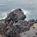 중문대포주상절리대 이미지