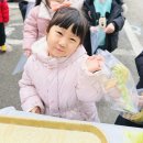 지혜반의 새로운 시작을 응원해 !🍀💚 이미지