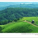 햇살 좋은날 이미지