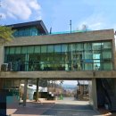 타이씨암레스토랑카페 | 에버랜드 맛집! 현지인이 운영하는 찐 태국음식점, [타이씨암레스토랑] 내돈내산 후기!