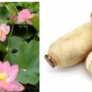 묵림한의원 이미지